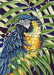 Bird 9